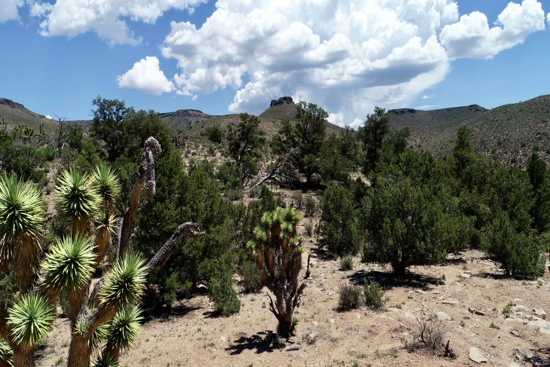  5838 E Diamond Bar Road ¦ Meadview, AZ - 物件實景