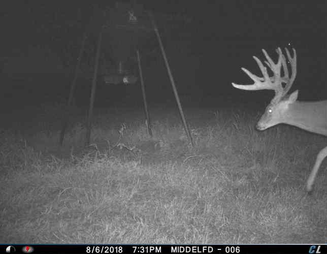 Goldsby, Oklahoma, 73093, United States, ,Land,For Sale,1976317