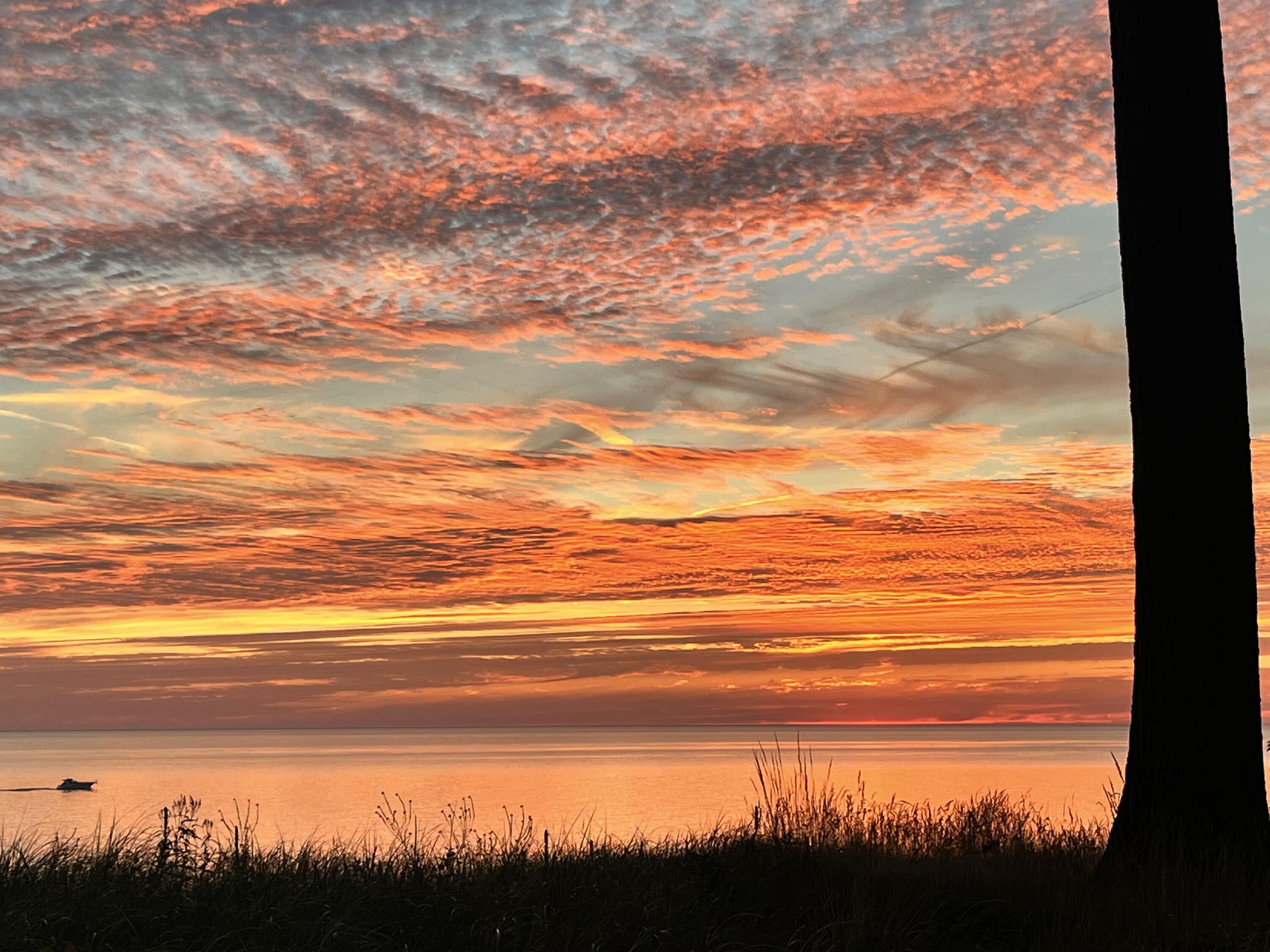 Fennville, Michigan, 49408, United States, 9 Bedrooms Bedrooms, ,10 BathroomsBathrooms,Residential,For Sale,1992421