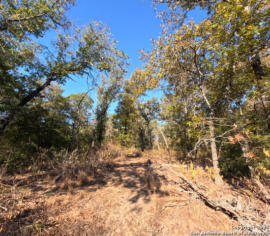 Seguin, Texas, 78155, United States, ,2 BathroomsBathrooms,Residential,For Sale,1983192