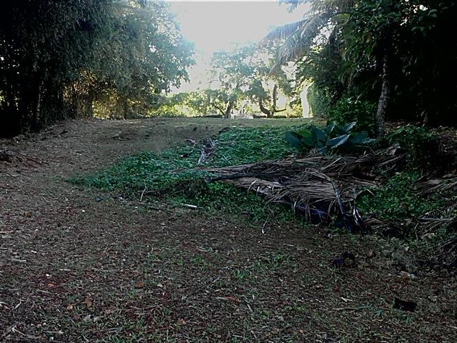 Sosua, DO, ,Land,For Sale,1164552