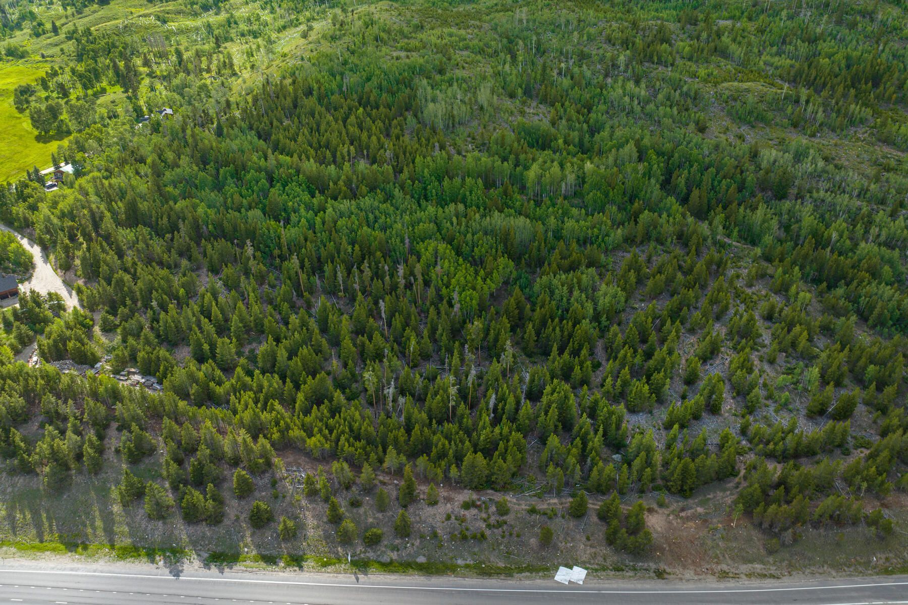  517 Giberson Lane, Frisco, CO, 80443 - 物件實景