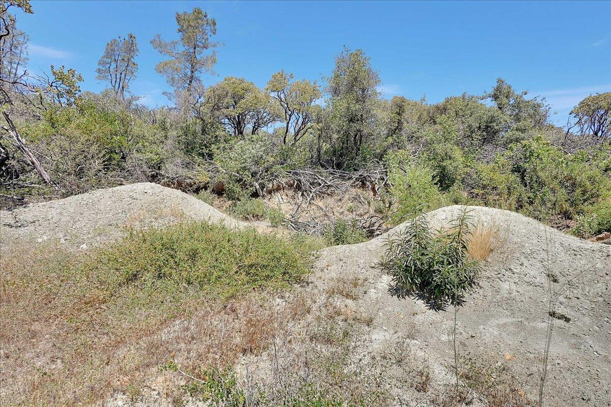 Oregon House, California, 95962, United States, ,Land,For Sale,1975767