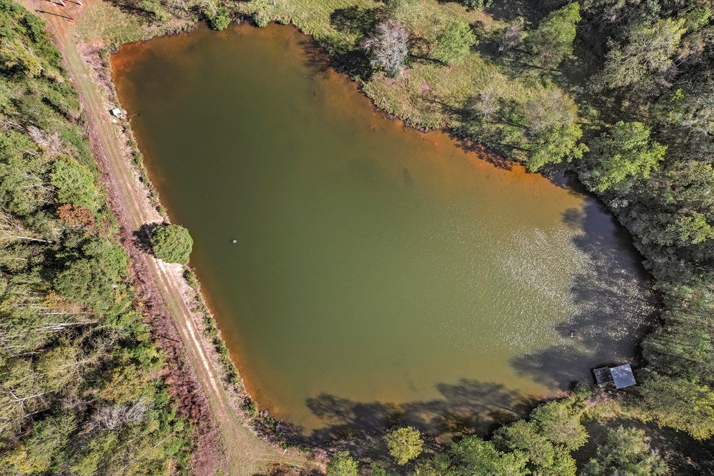 Midland City, Alabama, 36350, United States, 4 Bedrooms Bedrooms, ,3 BathroomsBathrooms,Residential,For Sale,1989153