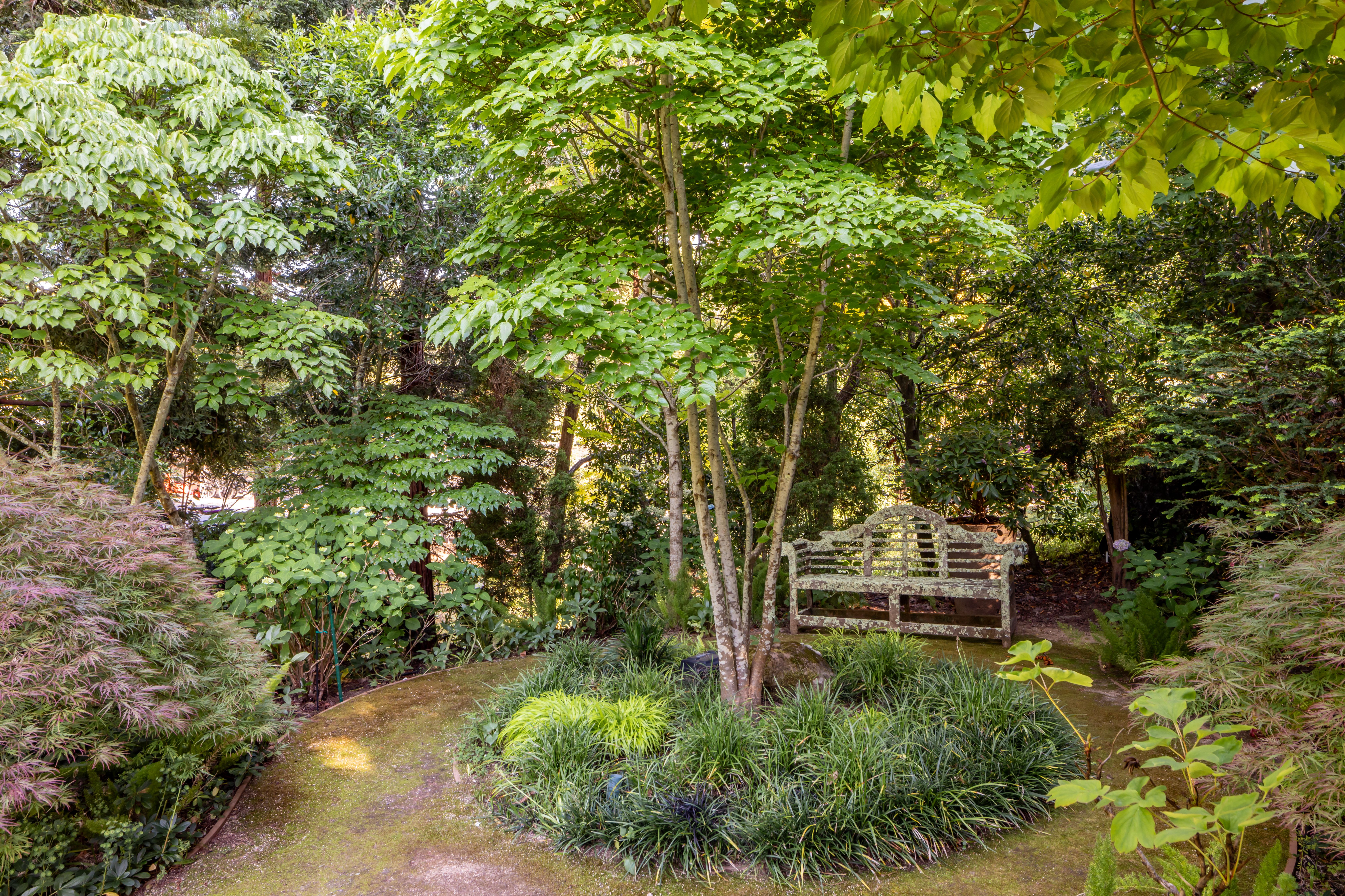  A Happy Valley Retreat - 物件實景
