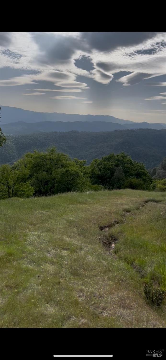 Covelo, California, 95428, United States, ,Land,For Sale,1868572