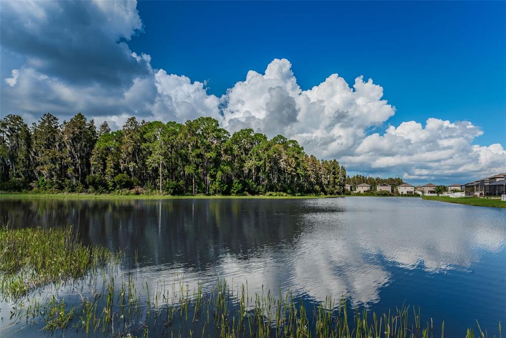 New Port Richey, Florida, 34655, United States, 4 Bedrooms Bedrooms, ,4 BathroomsBathrooms,Residential,For Sale,1954623