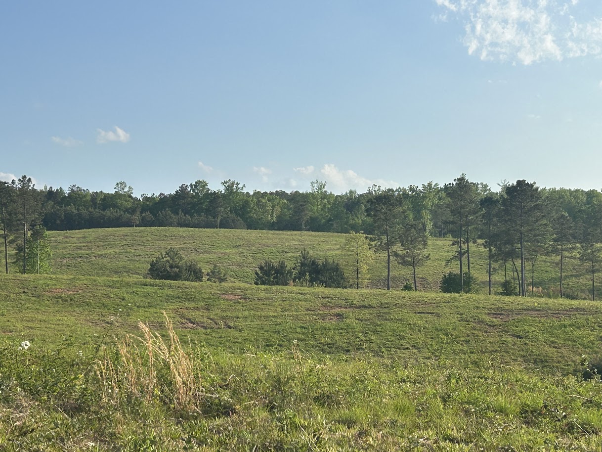 Roopville, Georgia, 30170, United States, ,Residential,For Sale,1780793