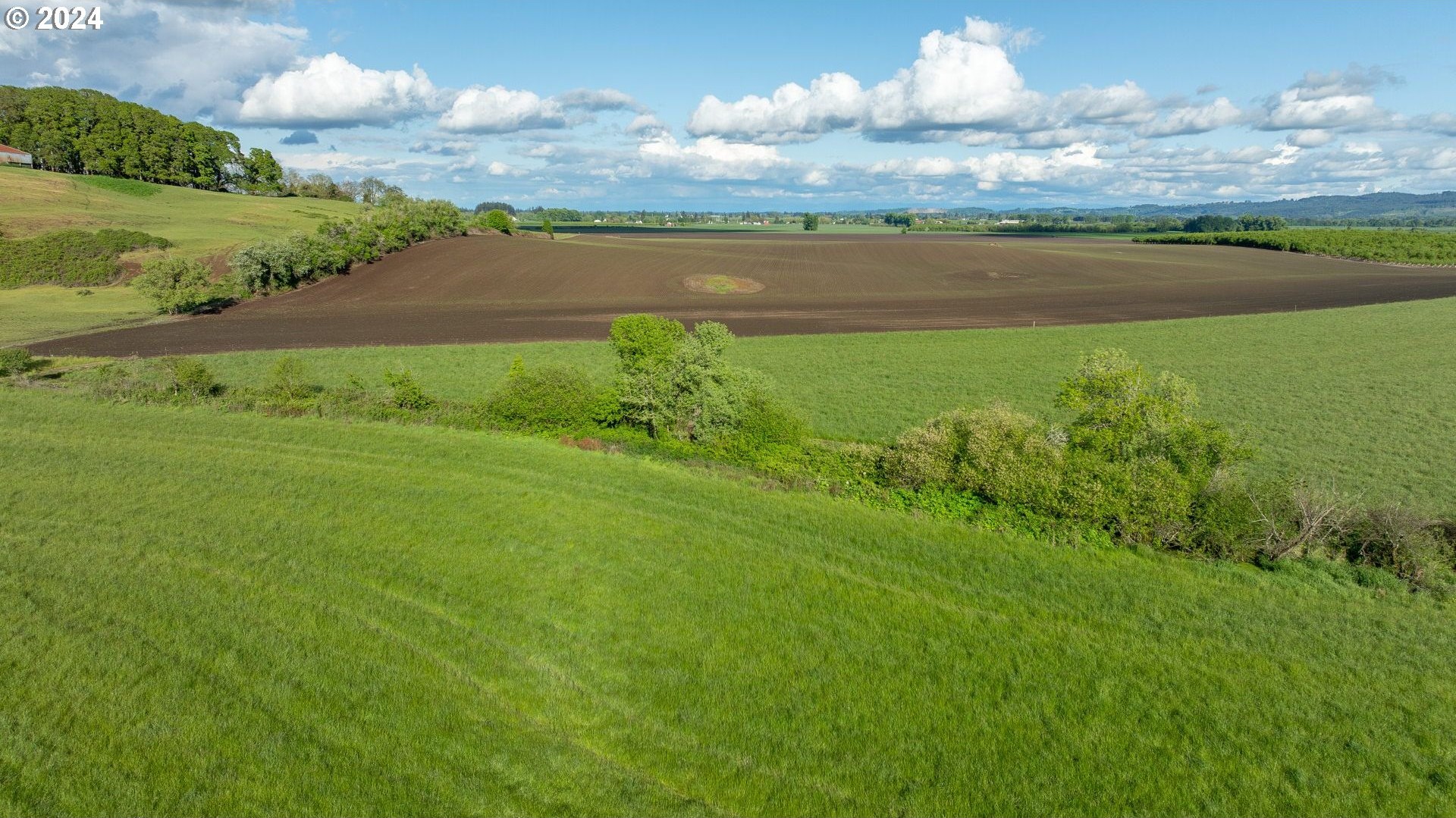 0 SW YOUNGBERG HILL RD, McMinnville, Oregon, 97128, United States, ,Land,For Sale,0 SW YOUNGBERG HILL RD,1523694