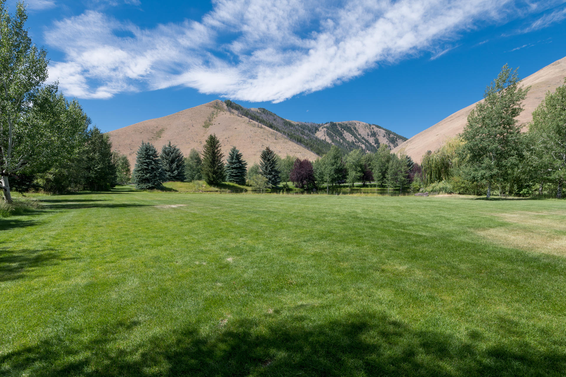 Blaine County, Idaho, 83333, United States, ,Land,For Sale,1794609