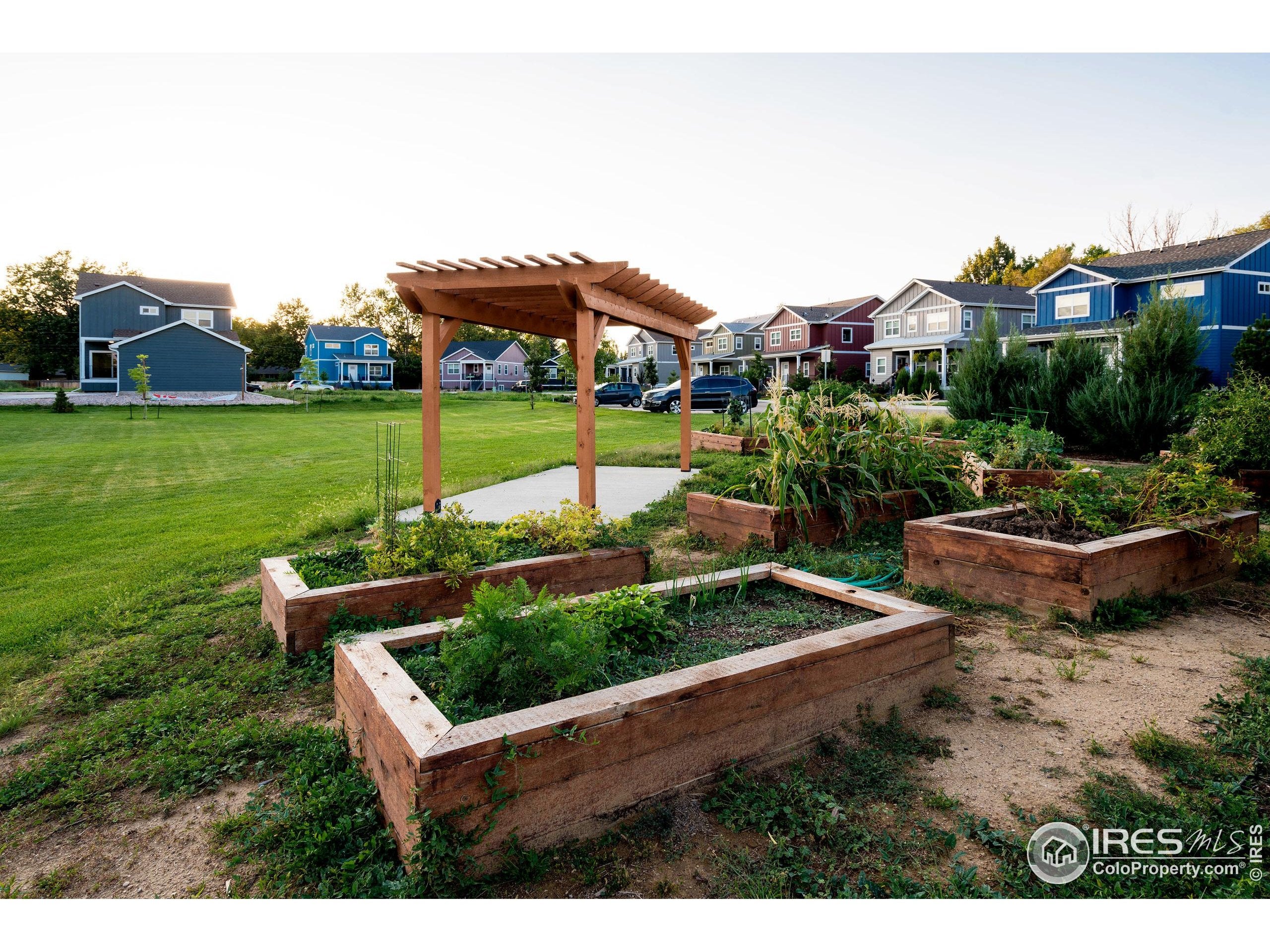 Loveland, Colorado, 80537, United States, 3 Bedrooms Bedrooms, ,3 BathroomsBathrooms,Residential,For Sale,1929479