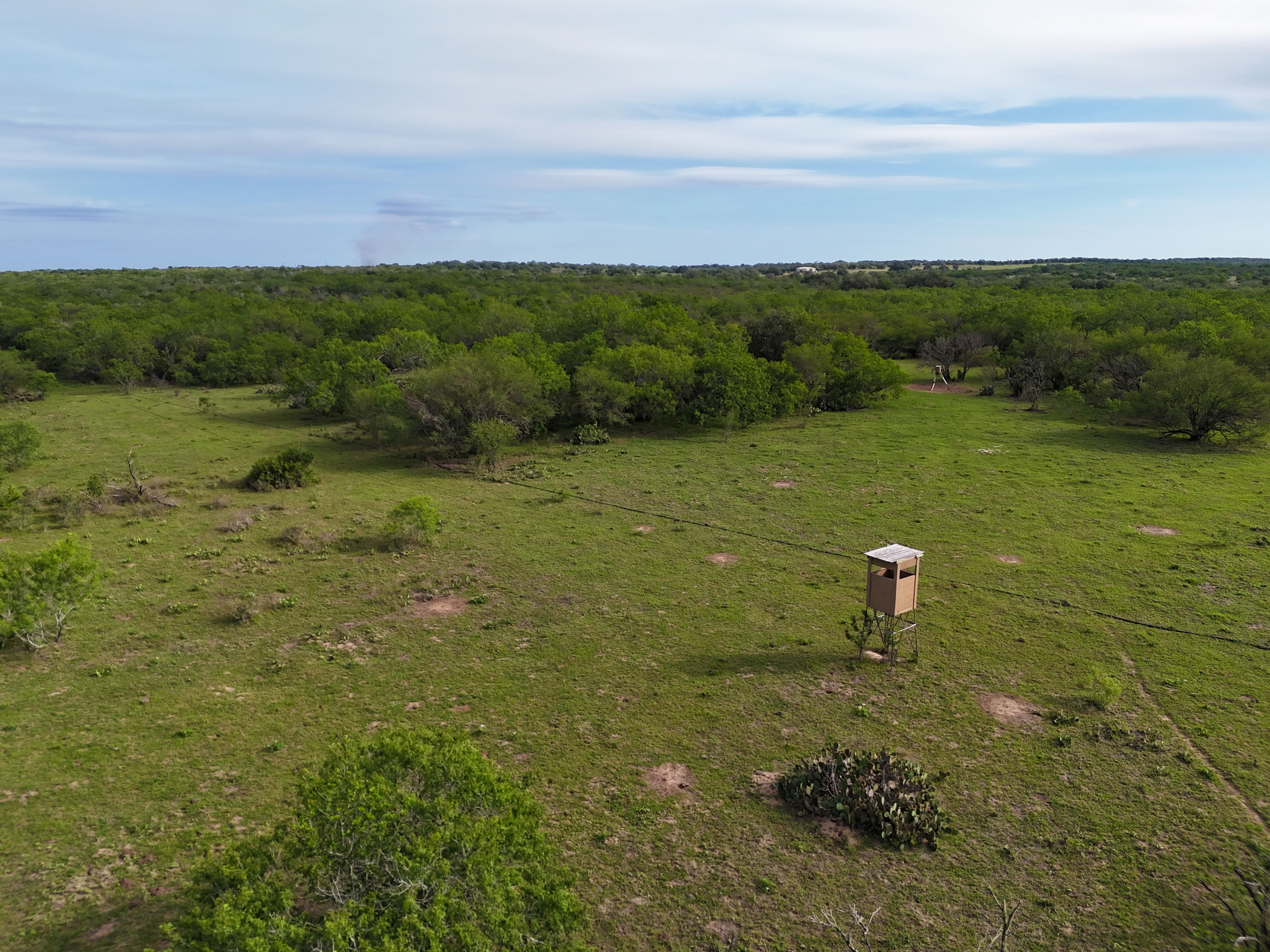  810+/- Acre Cabeza Creek Ranch - 物件實景