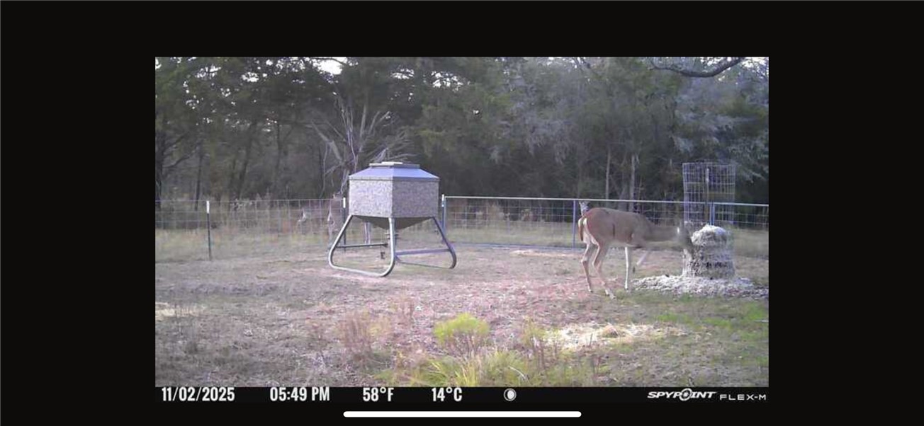 Thornton, Texas, 76687, United States, ,Land,For Sale,2003074