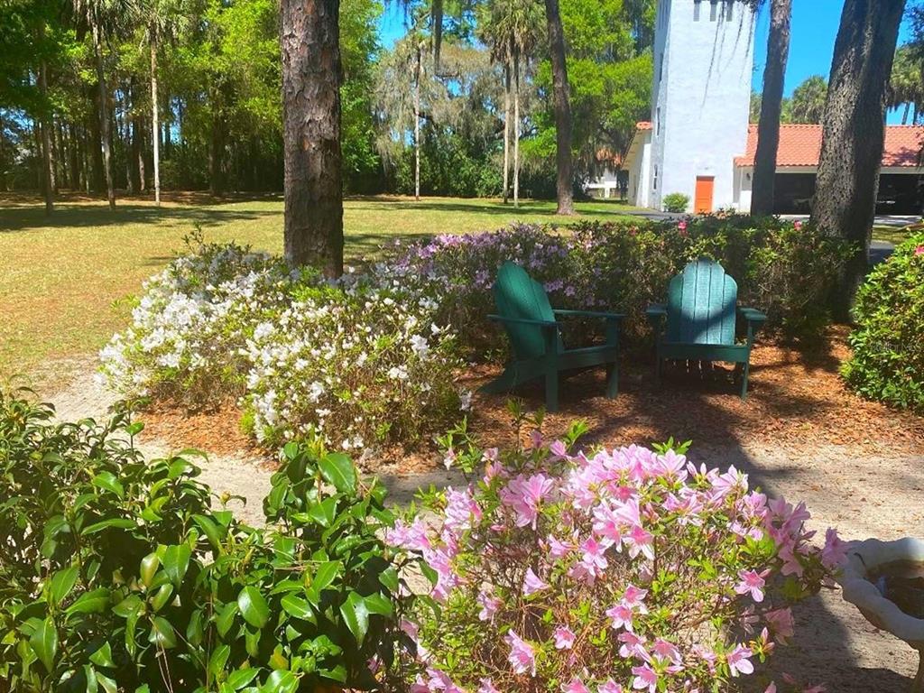 Eustis, Florida, 32736, United States, 6 Bedrooms Bedrooms, ,6 BathroomsBathrooms,Residential,For Sale,1805278