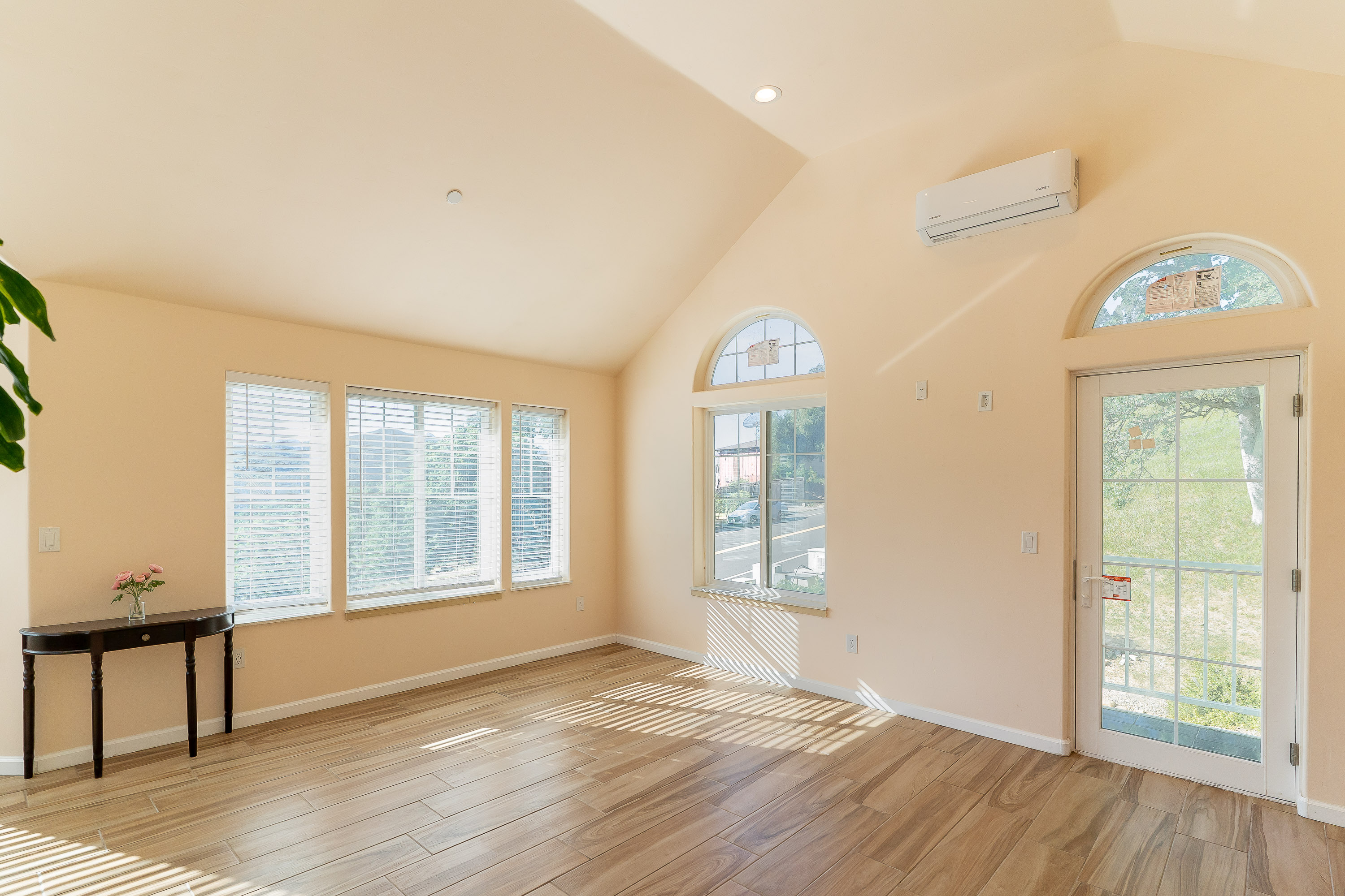  Steele Canyon house with a view - 物件實景