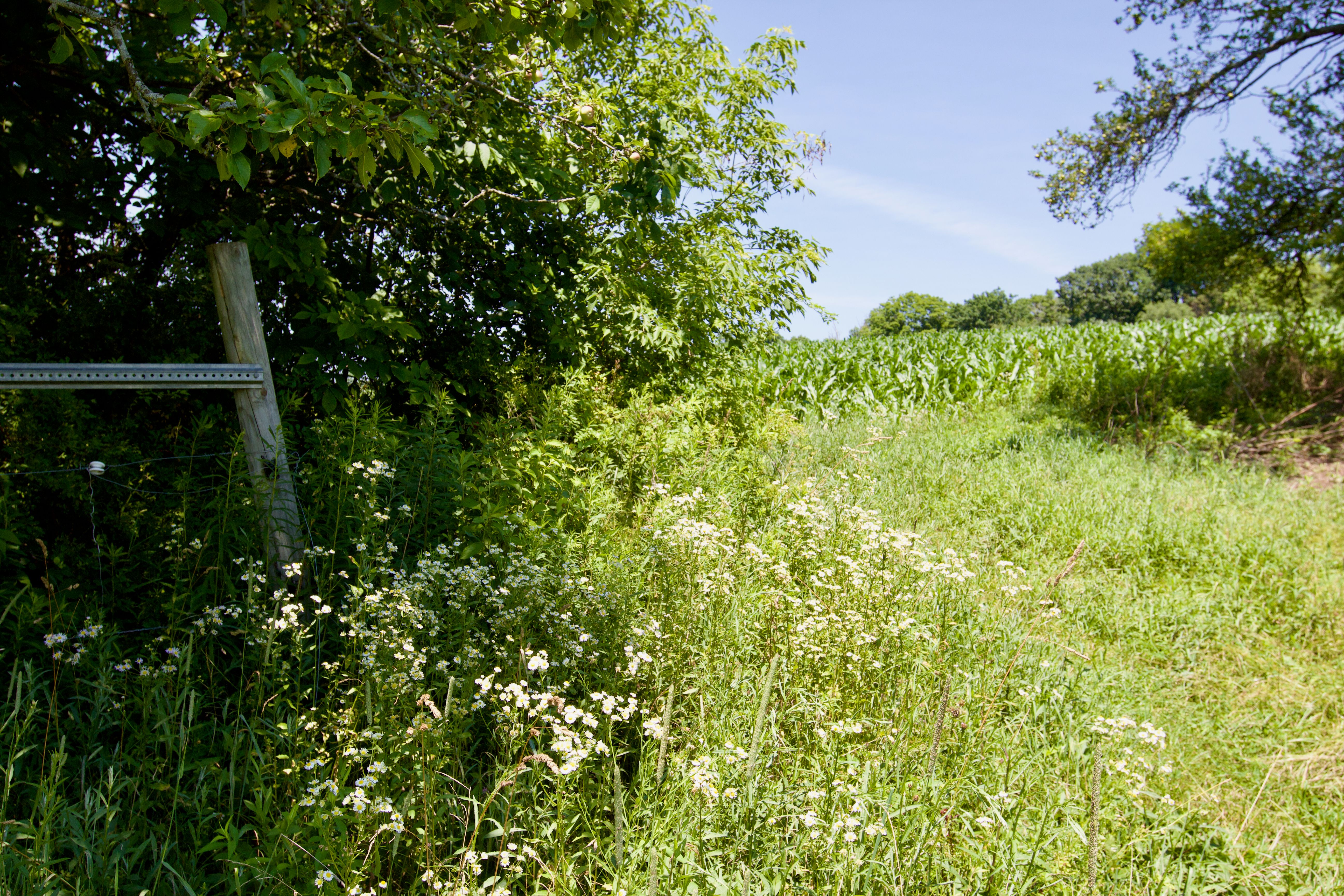  90 West End Road, Hillsdale, NY 12529 - 物件實景