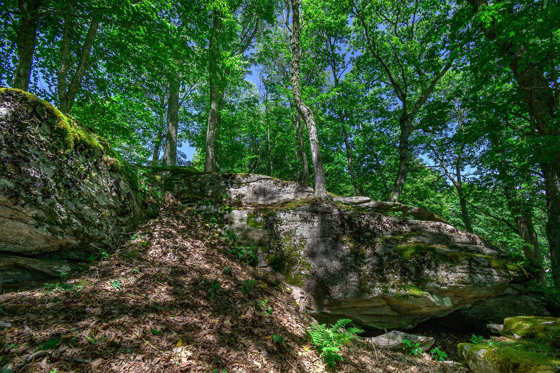  BANNER ELK - ROCKY KNOB - 物件實景