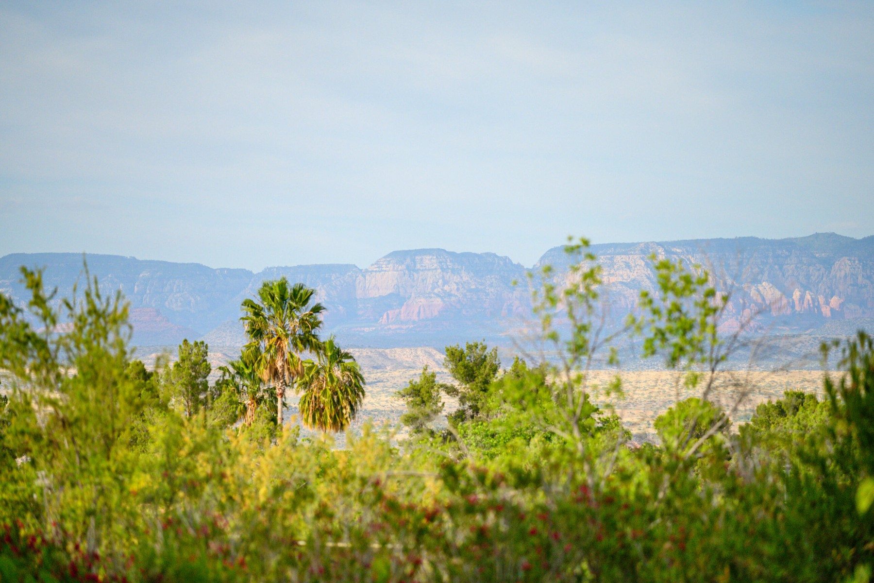  1947 S Quail Run¦Cottonwood, AZ - 物件實景