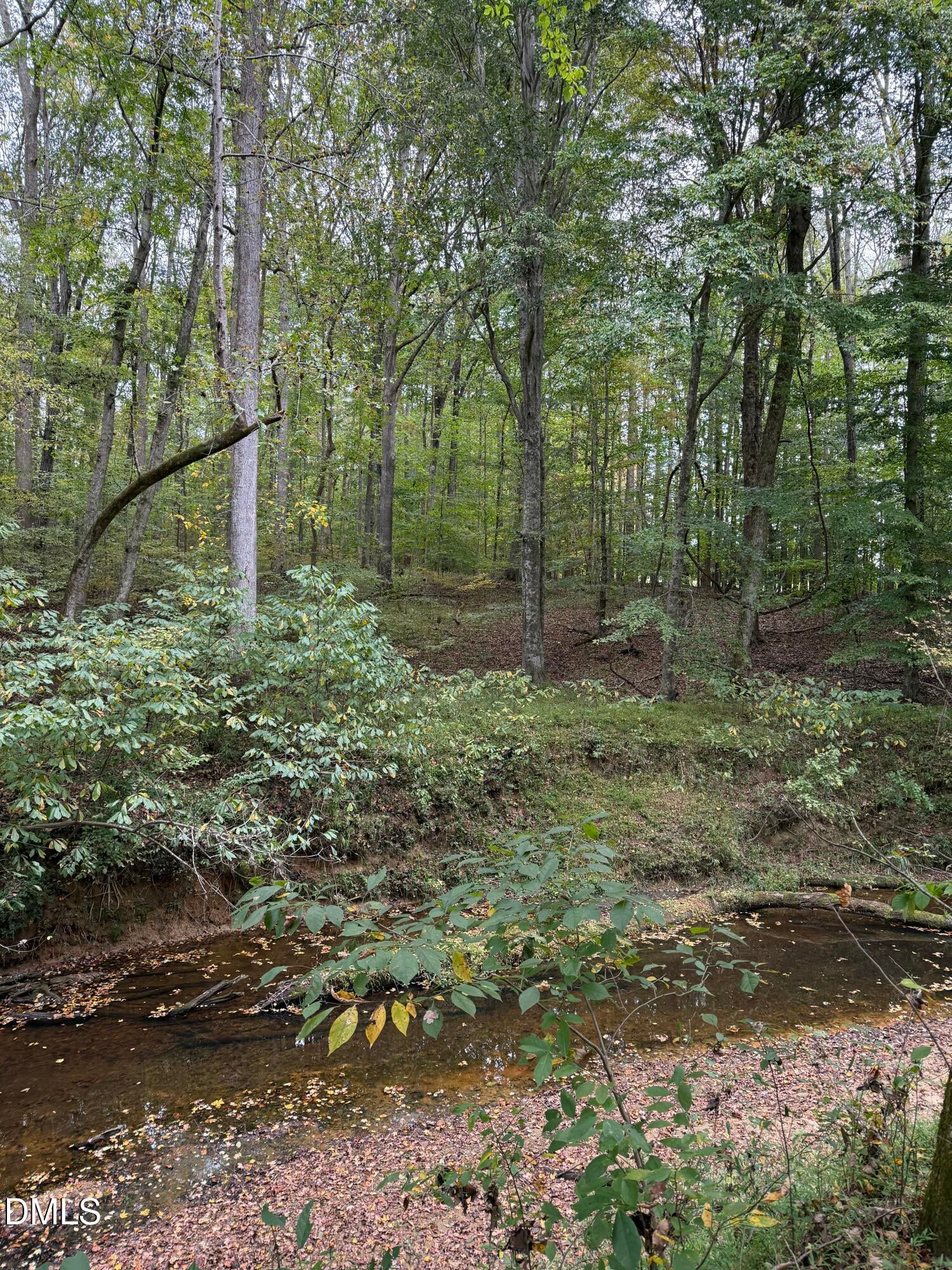 Oxford, North Carolina, 27565, United States, ,Land,For Sale,2000467