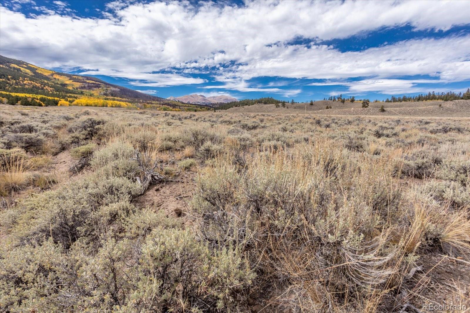 Twin Lakes, Colorado, 81251, United States, ,Land,For Sale,1975284