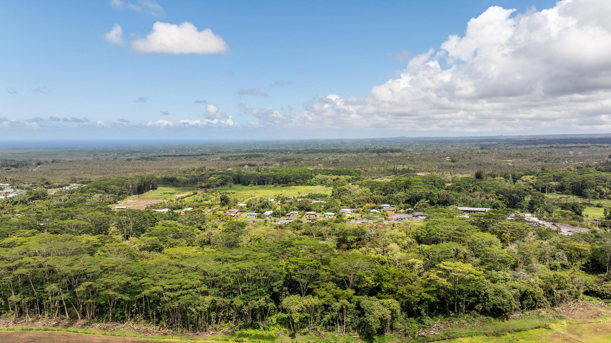 Kurtistown, Hawaii, 96760, United States, ,Land,For Sale,1966842