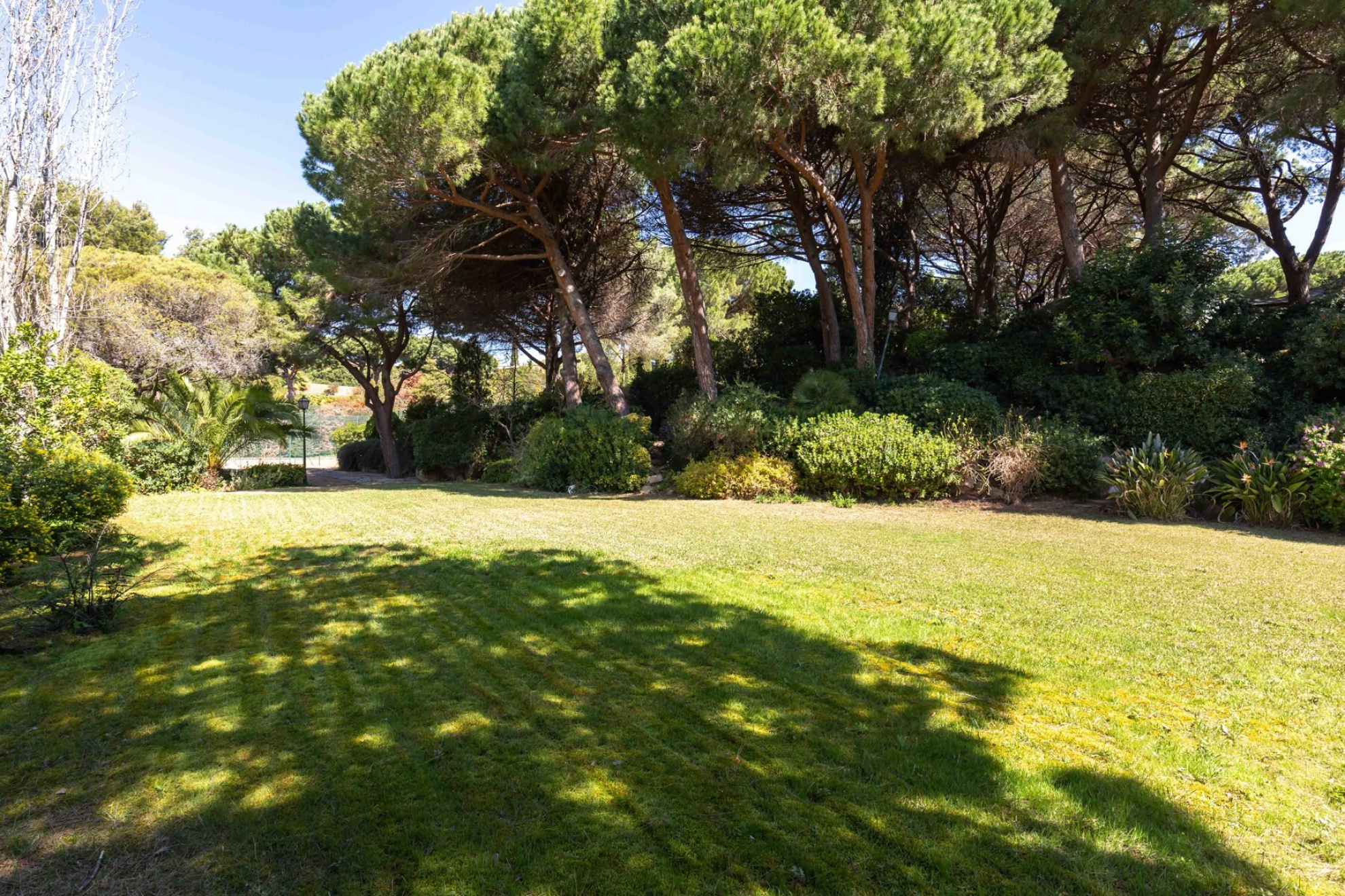  Large property with sea views in Llavaneres - Costa norte Barcelona - 物件實景