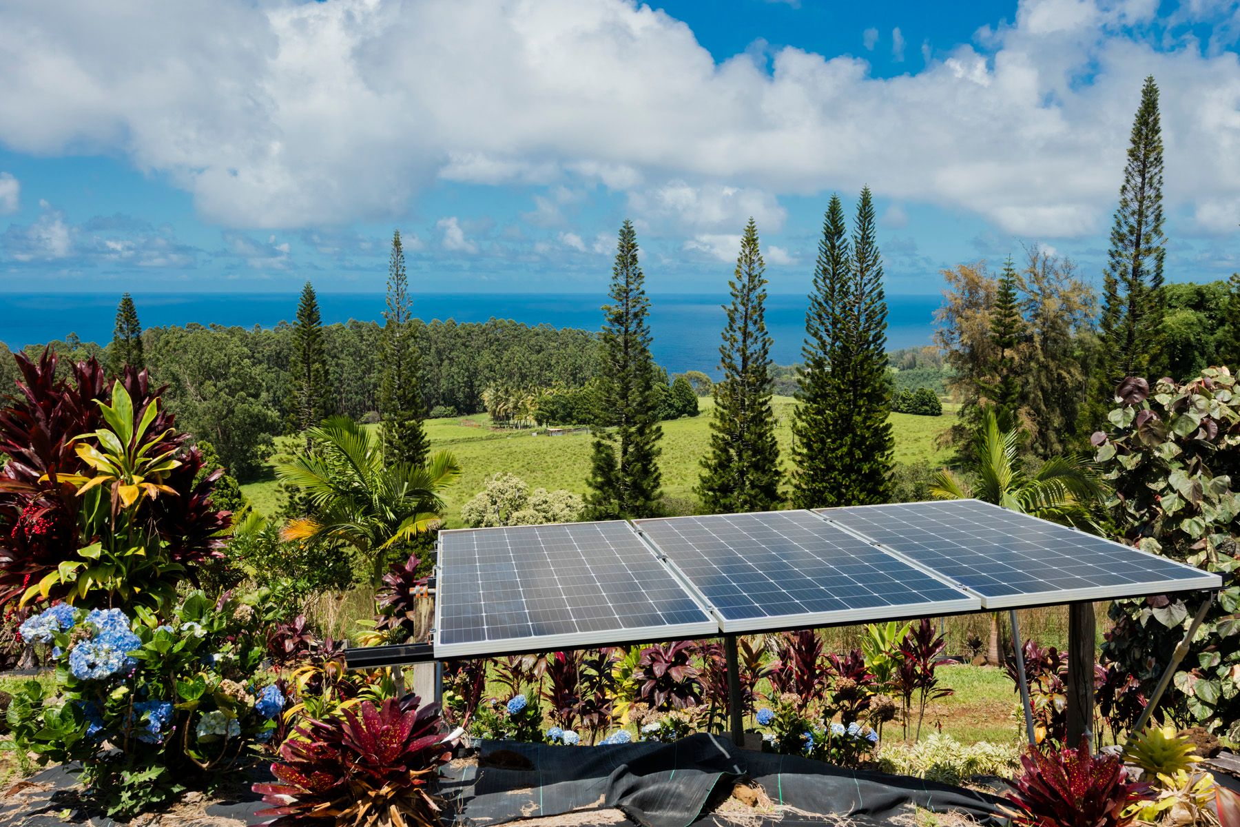  35-1655 Maulua Nui Rd, Papaaloa, HI, 96780 - 物件實景