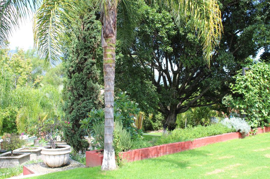 Malinalco, Estado de méxico, 52465, Mexico, 5 Bedrooms Bedrooms, ,6 BathroomsBathrooms,Residential,For Sale,1739306