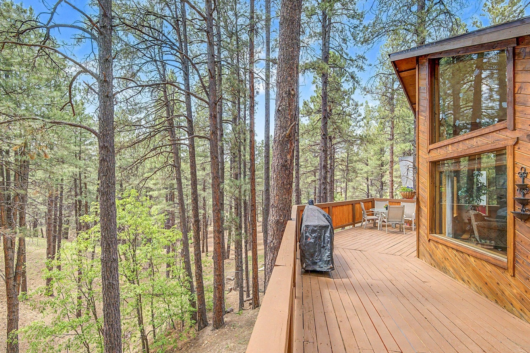  2804 Bird Springs Ovi  Flagstaff, AZ - 物件實景