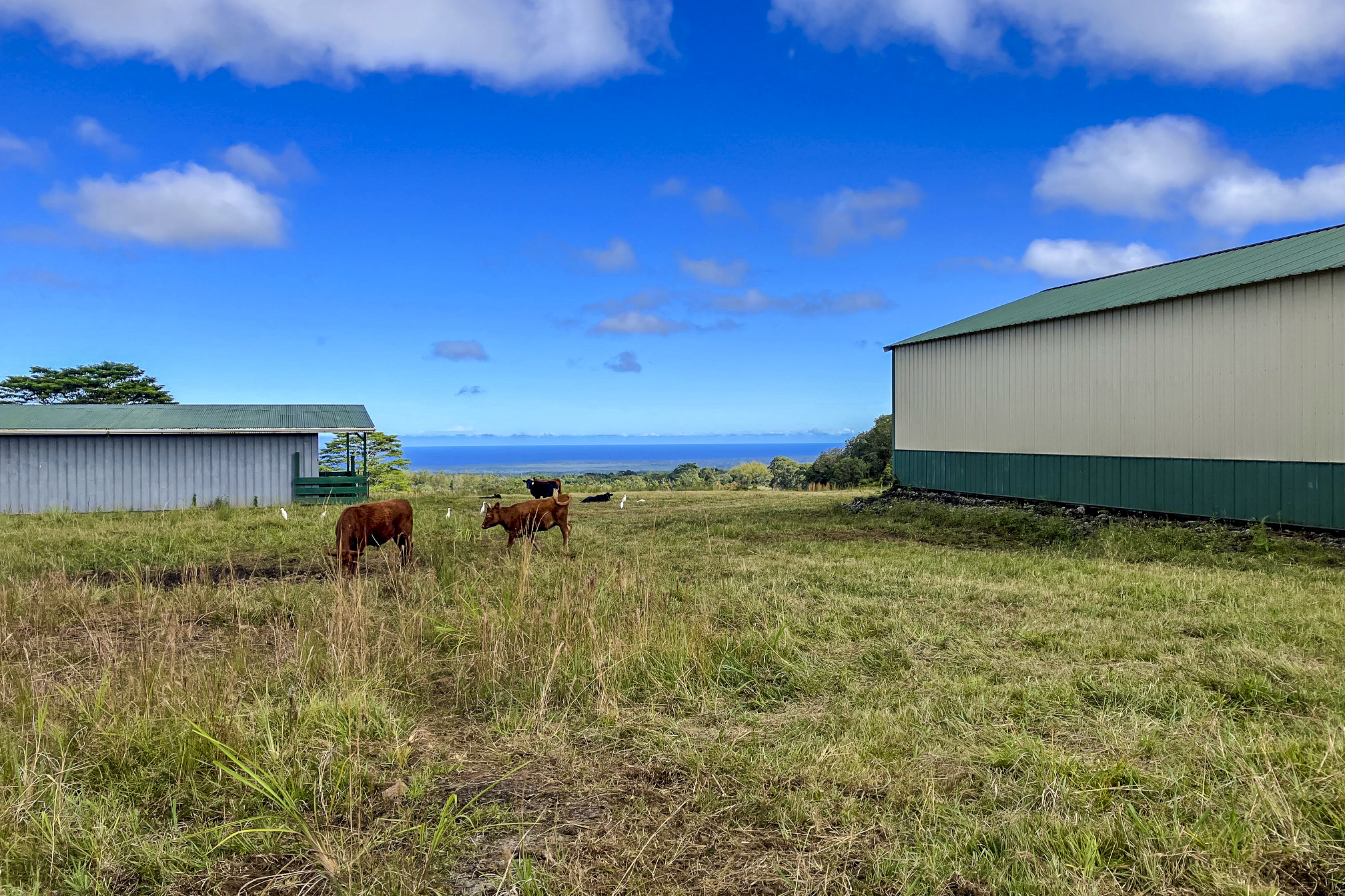  17-4870 South Rd, Kurtistown, HI, 96760 - 物件實景