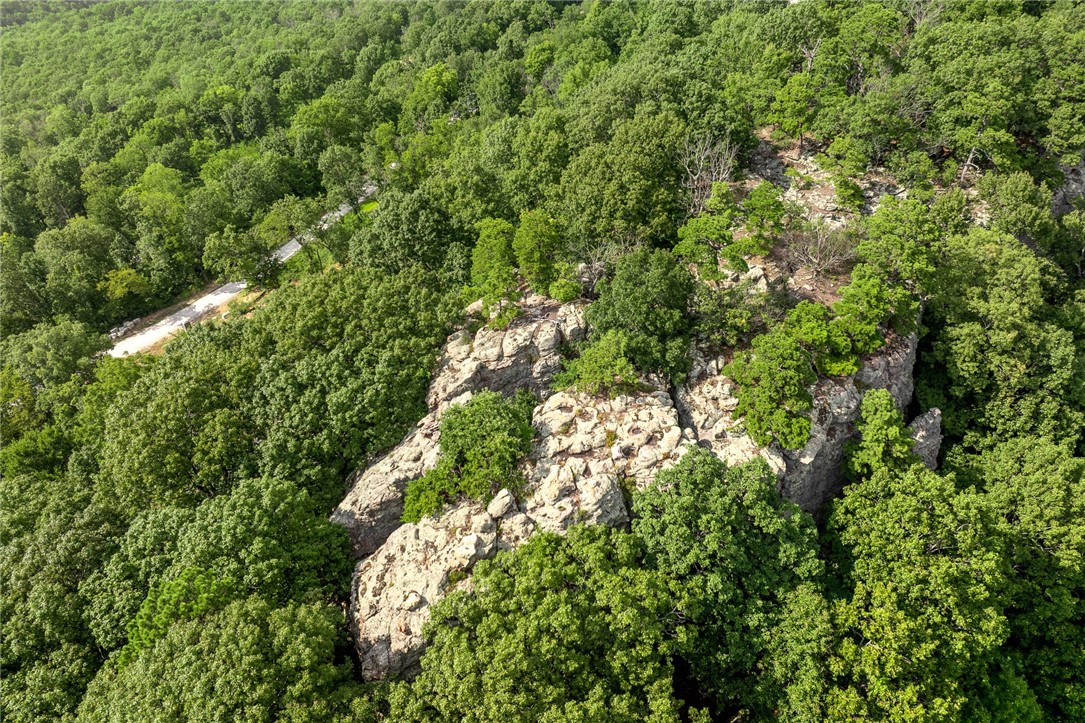 Harrison, Arkansas, 72601, United States, ,Land,For Sale,1903460