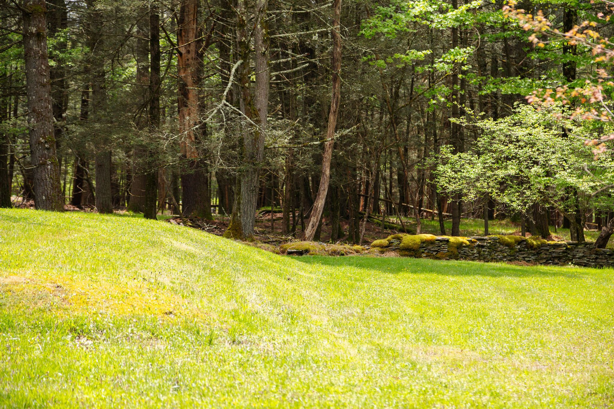  2013 County Road 3, Olivebridge, NY, 12461 - 物件實景