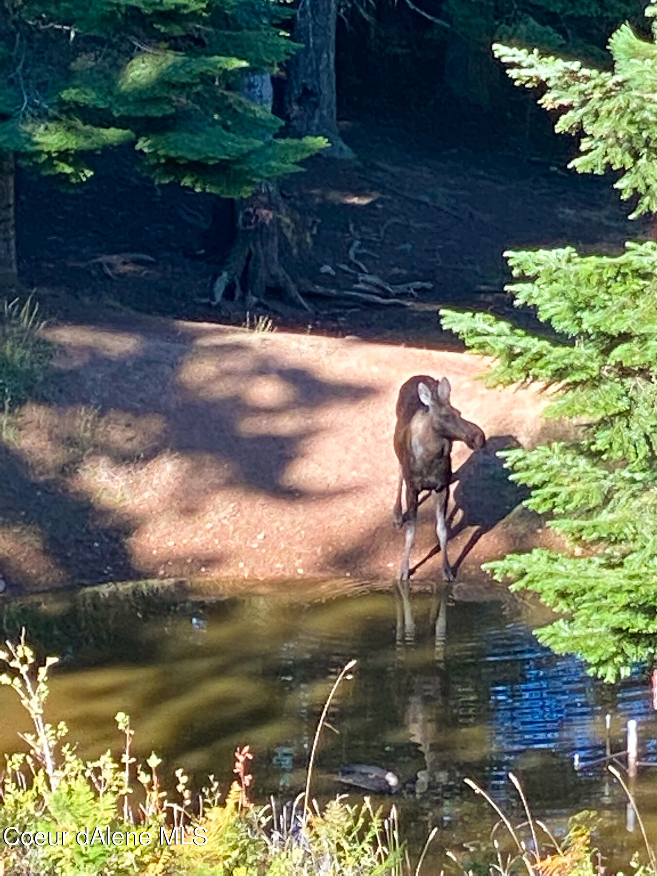 Coeur d'Alene, Idaho, 83814, United States, 4 Bedrooms Bedrooms, ,3 BathroomsBathrooms,Residential,For Sale,1974008
