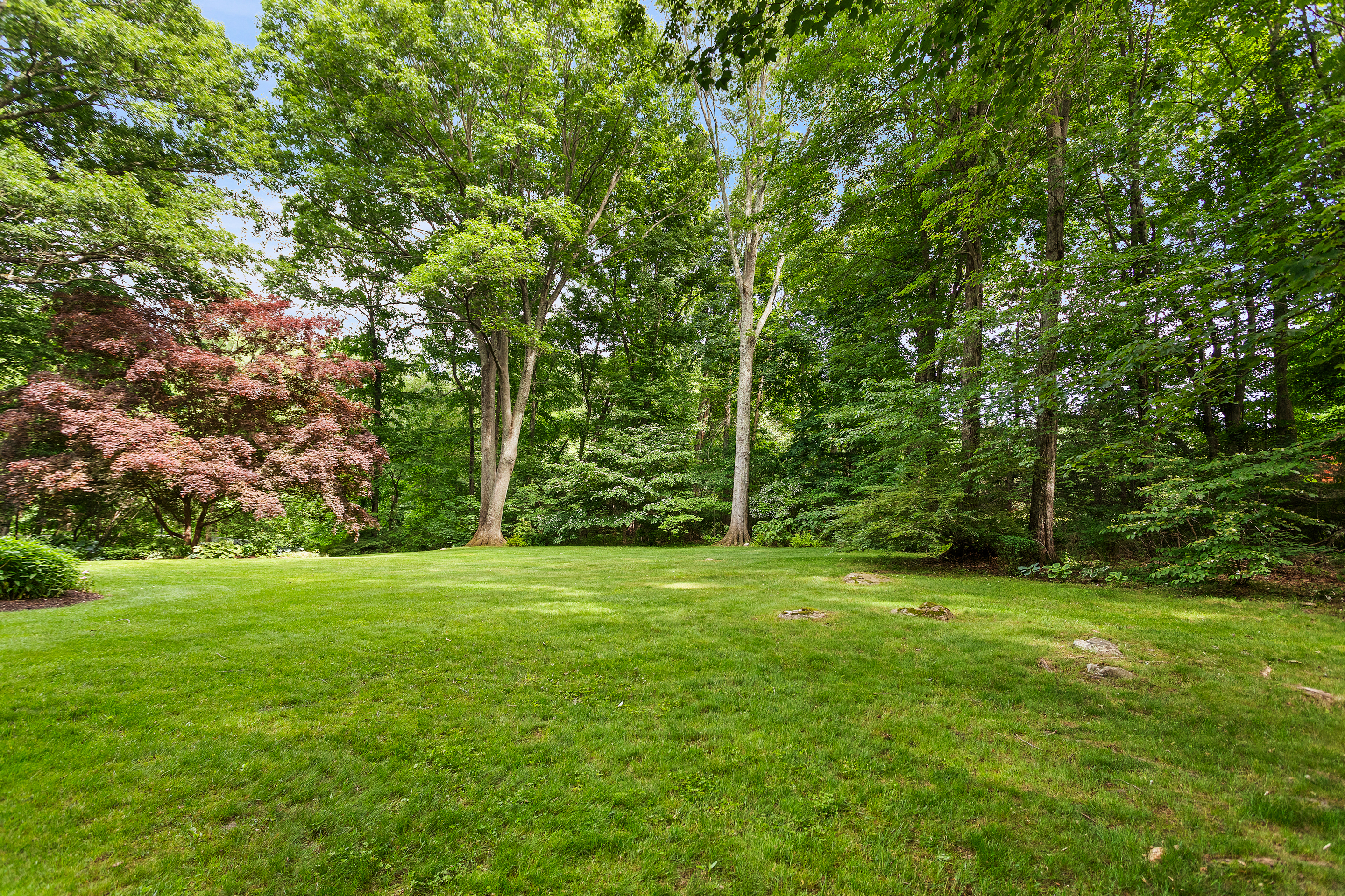  Expansive Colonial Nestled in Lower Weston - 物件實景