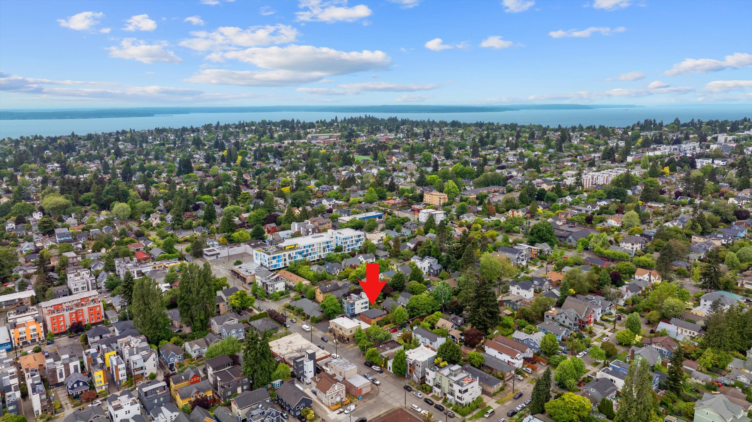  7007 Alonzo Ave NW, Seattle, WA 98117 - 物件實景