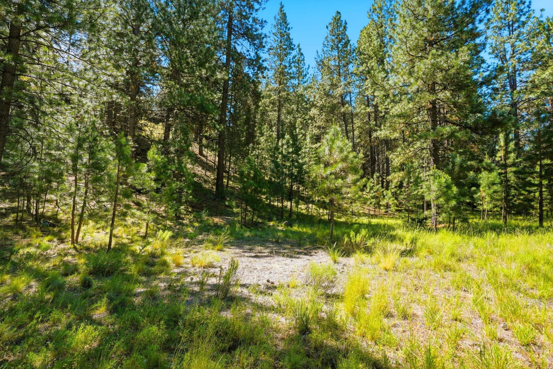  18831 Baker Road Bend, OR 97702 - 物件實景