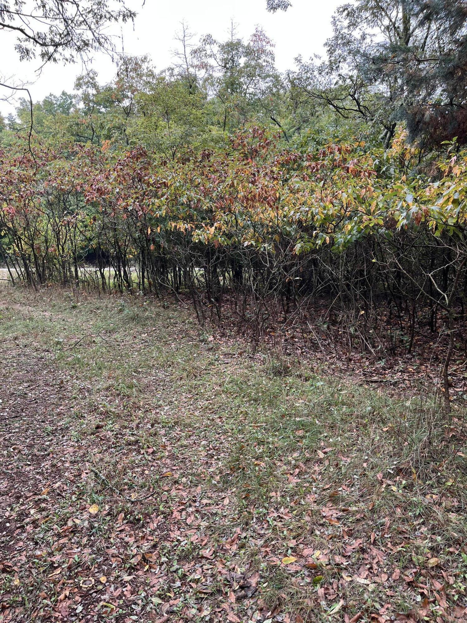 Holland, Michigan, 49423, United States, ,Land,For Sale,1984498