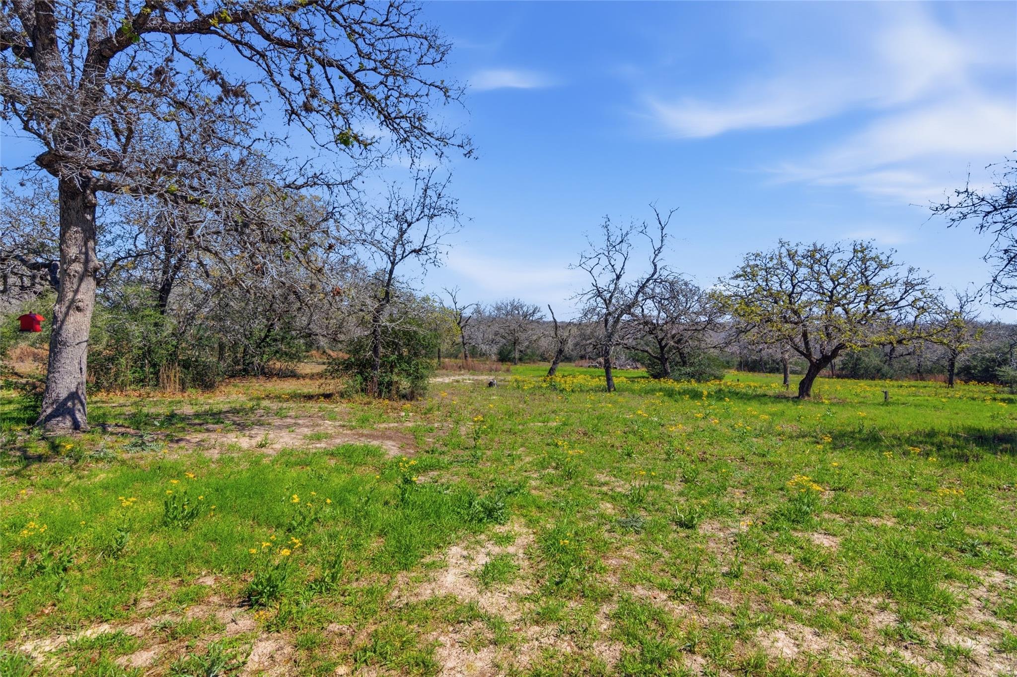 Seguin, Texas, 78155, United States, 3 Bedrooms Bedrooms, ,3 BathroomsBathrooms,Residential,For Sale,2037314