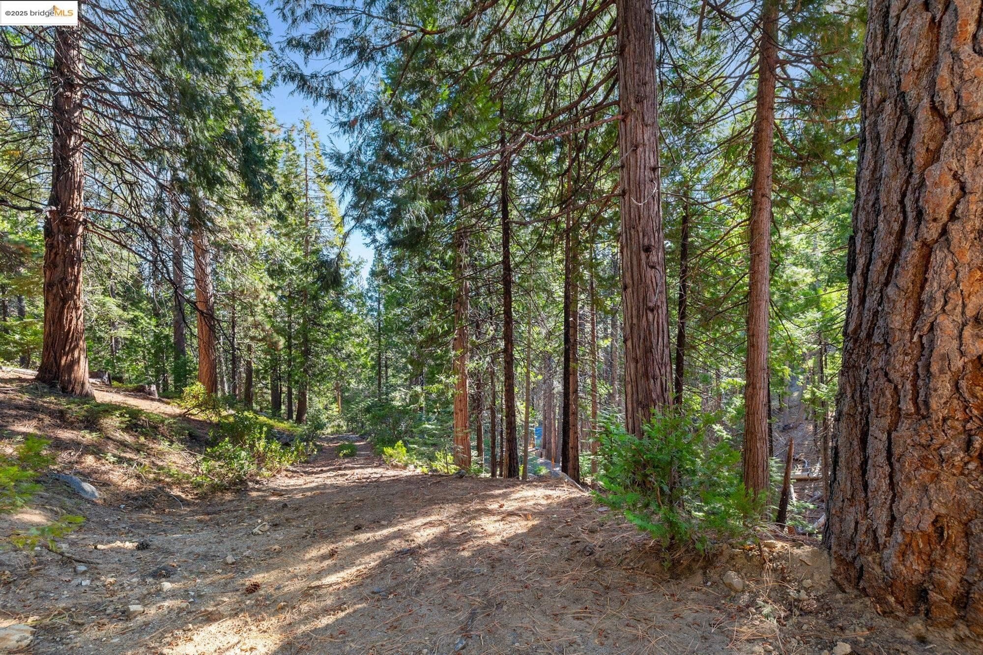 Long Barn, California, 95335, United States, 3 Bedrooms Bedrooms, ,2 BathroomsBathrooms,Residential,For Sale,1989923