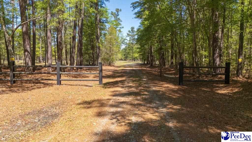 1315 Hill Harrell Road, Effingham, South Carolina, 29541-3179, United States, ,Land,For Sale,1315 Hill Harrell Road,1501598