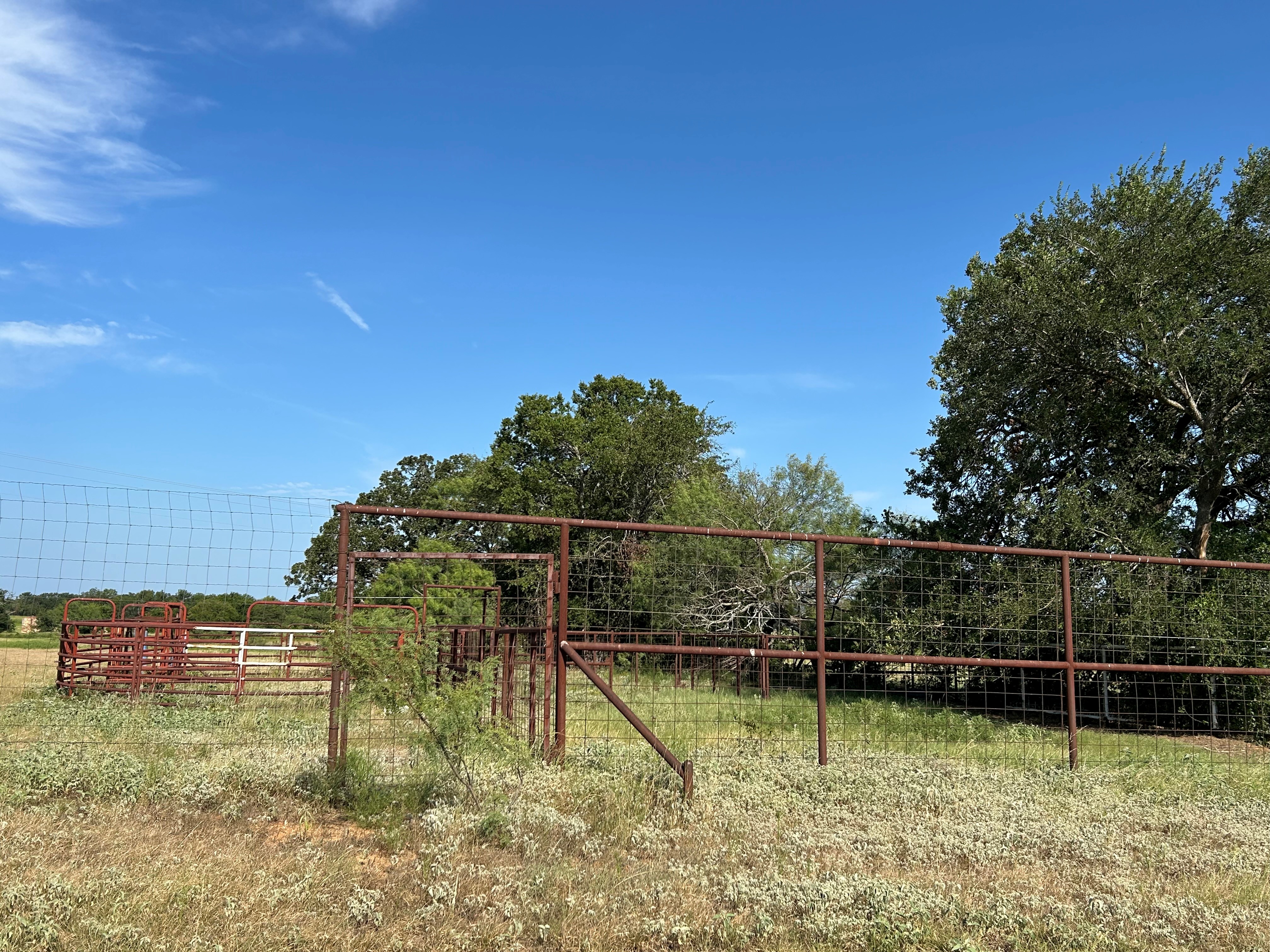 Bridgeport, Texas, 76426, United States, ,Land,For Sale,1981851