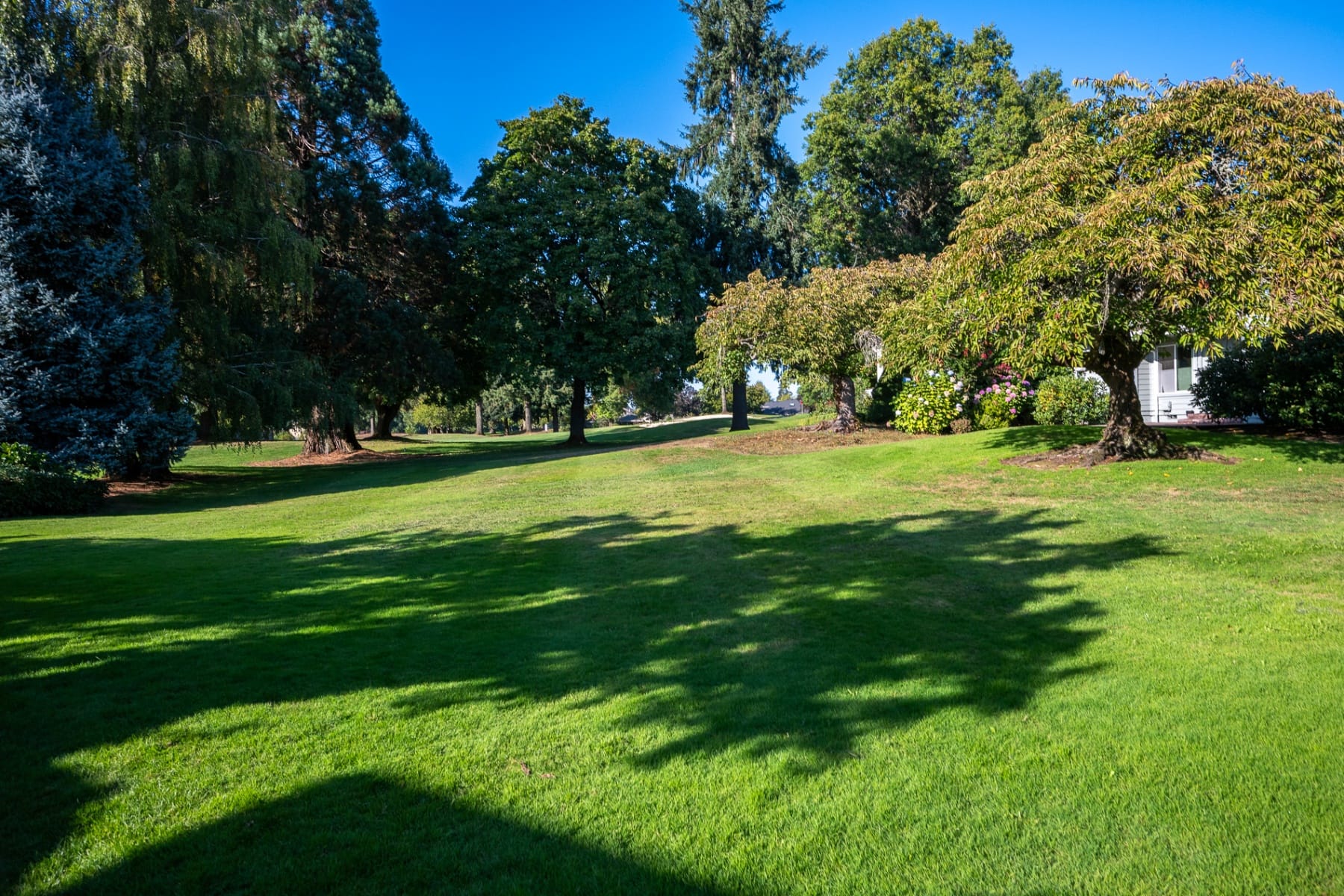  32455 SW LAKE POINT CT Wilsonville, OR 97070 - 物件實景
