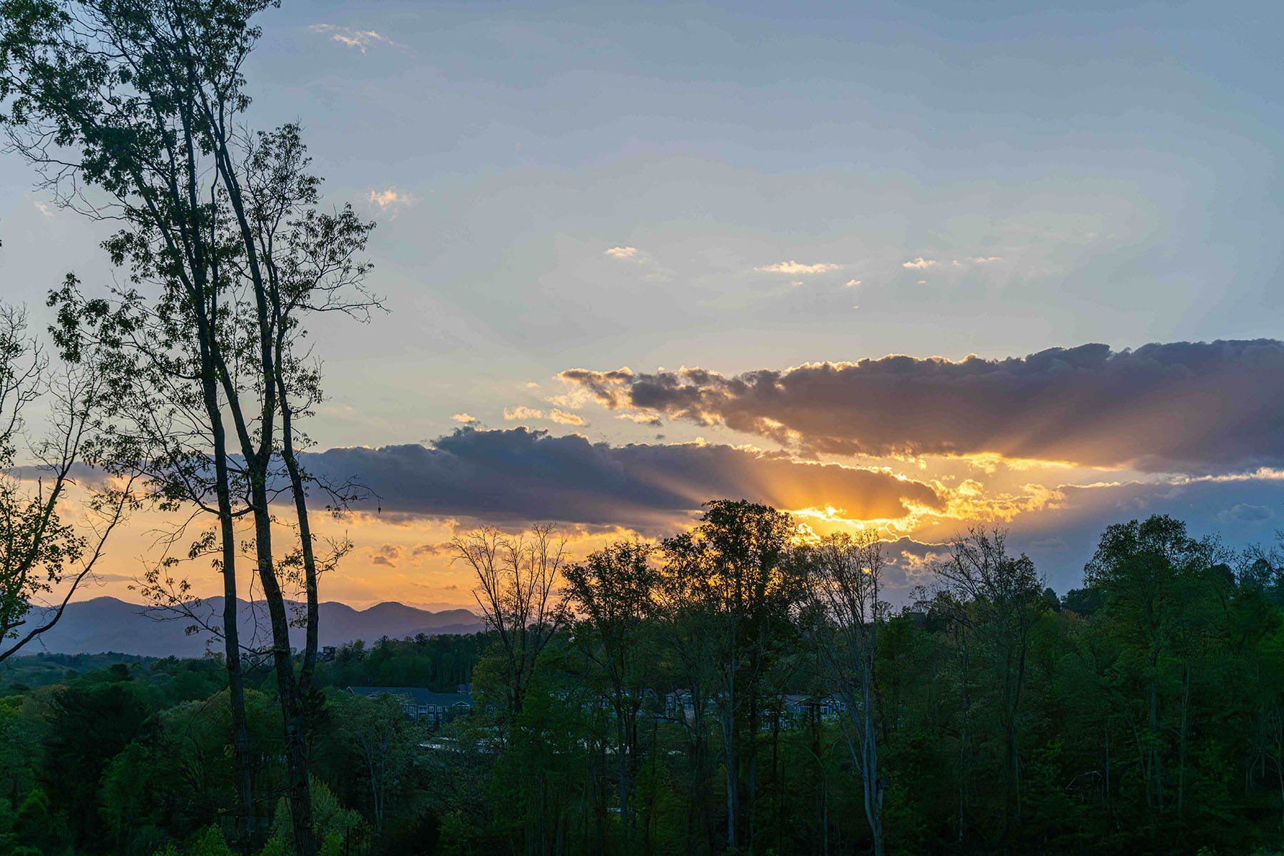  ASHEVILLE - 物件實景