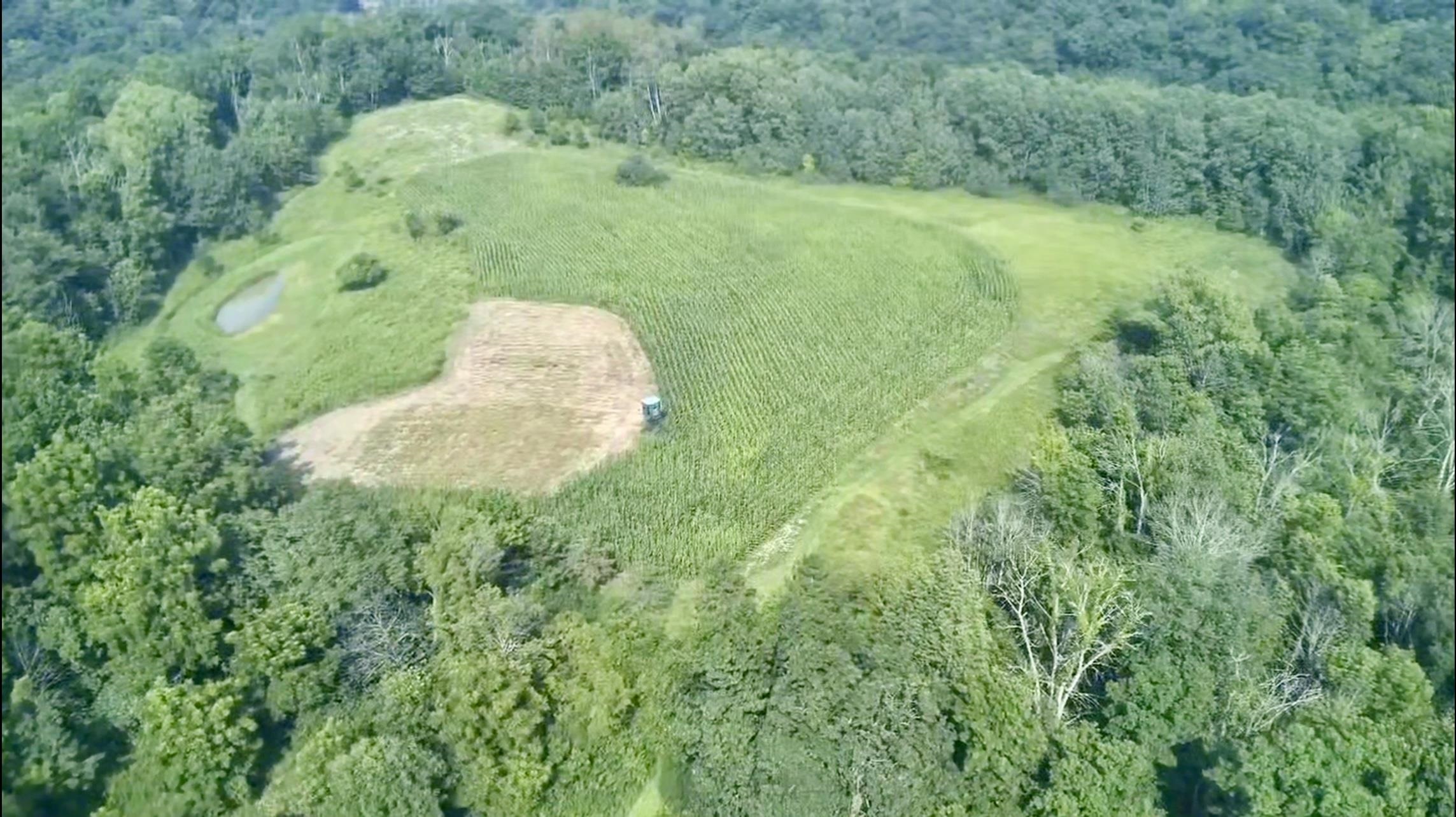 Gays Mills, Wisconsin, 54631, United States, ,Residential,For Sale,1928729