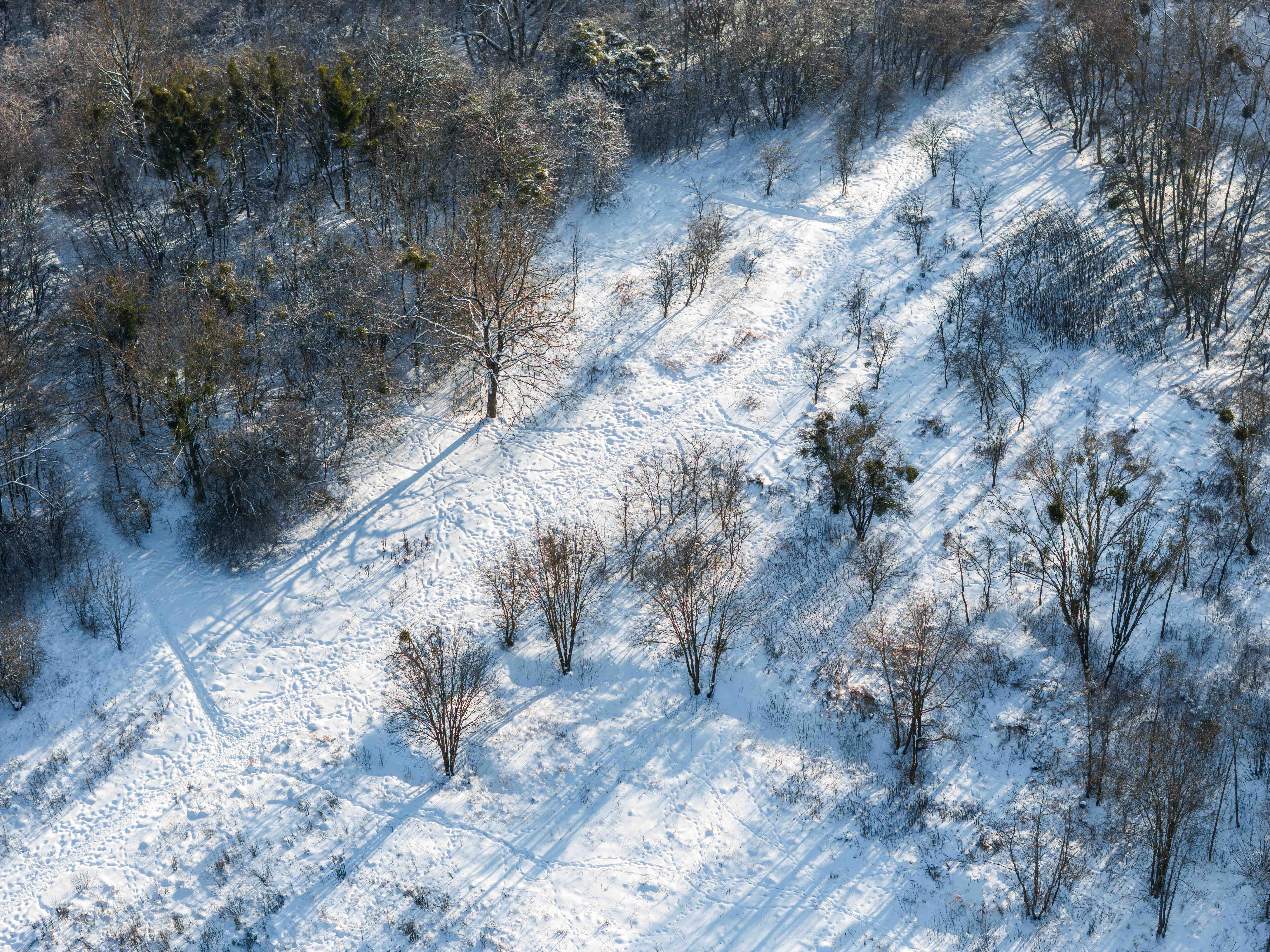  Corner plot in Freda with house project and building permission - 物件實景