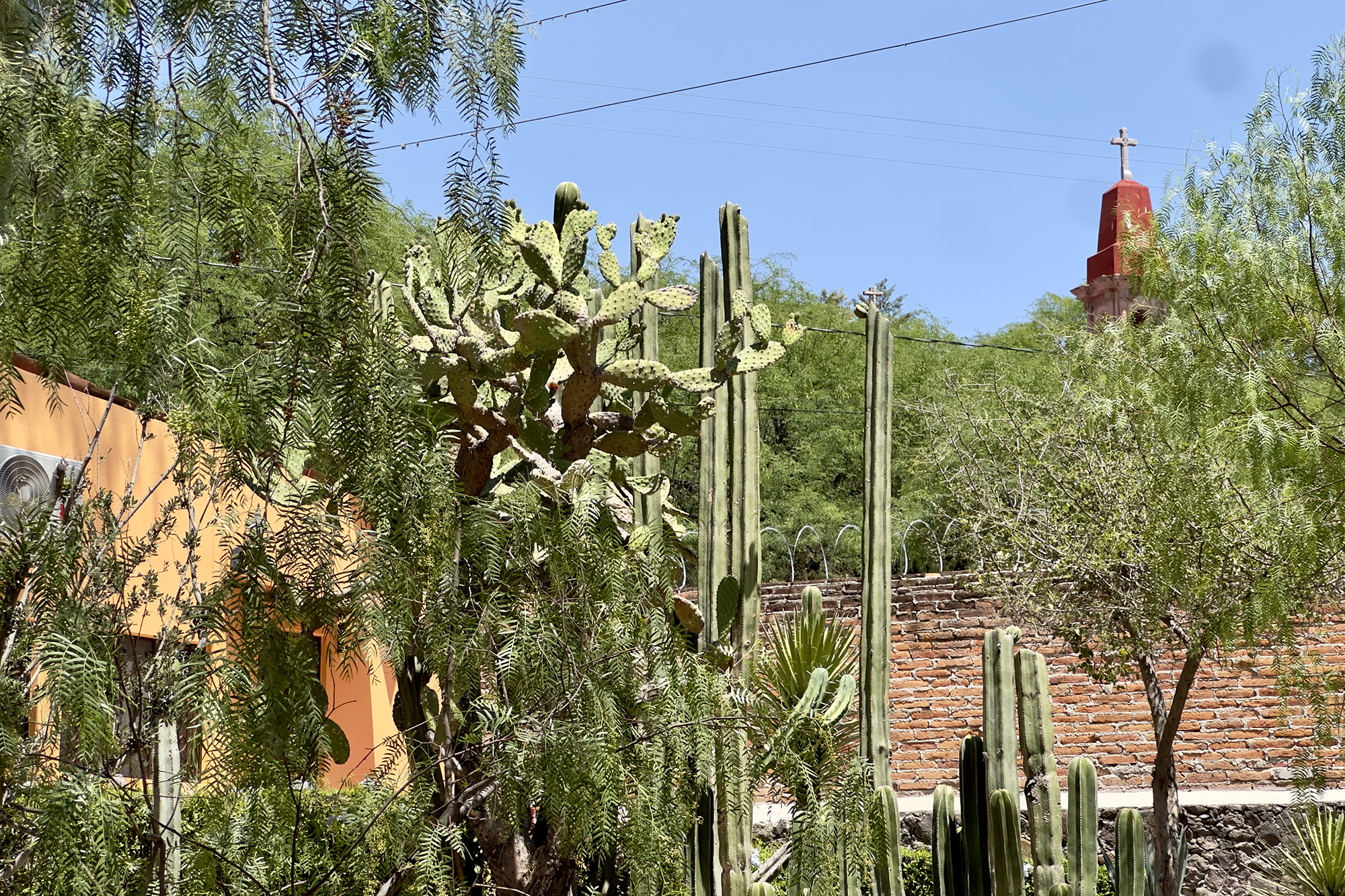  Casa Ciene - 物件實景