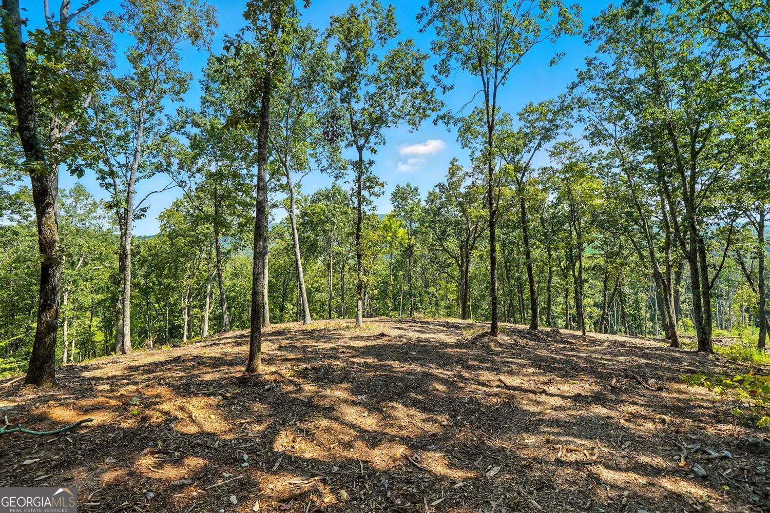 Waleska, Georgia, 30183, United States, ,Land,For Sale,1929808