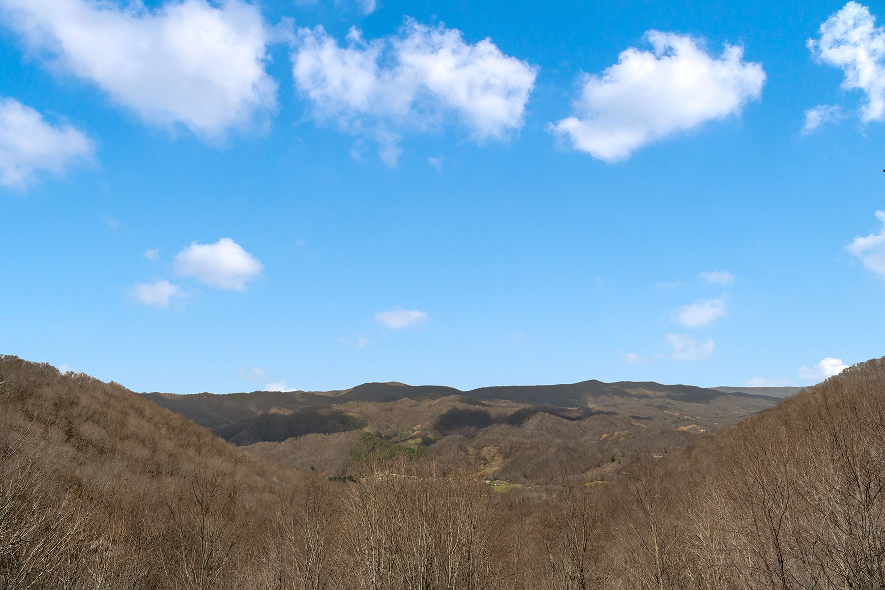  SILVERLEAF - ZIONVILLE - 物件實景