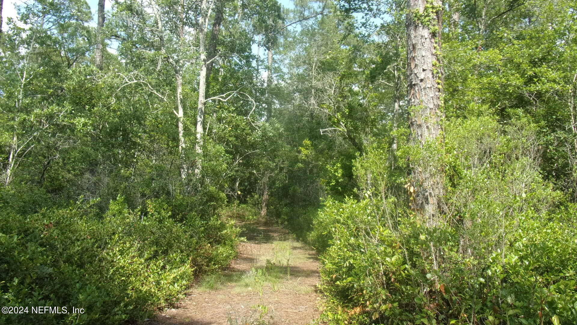 Palatka, Florida, 32177, United States, ,Residential,For Sale,1924559