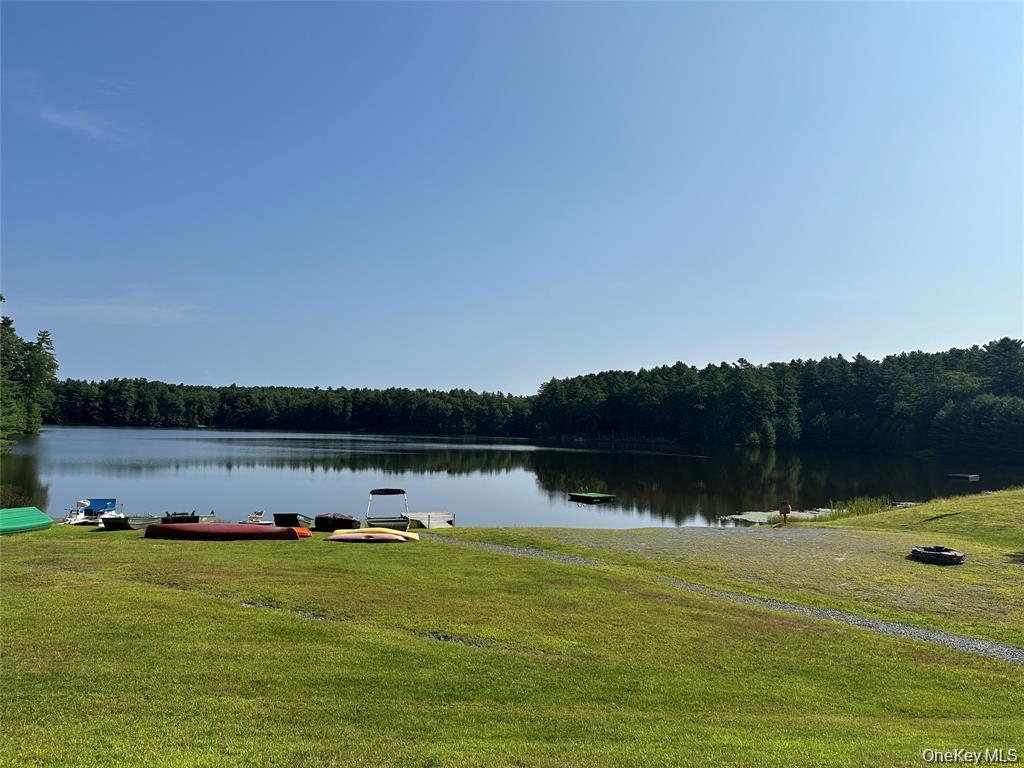 Yulan, New York, 12719, United States, 3 Bedrooms Bedrooms, ,3 BathroomsBathrooms,Residential,For Sale,1982353